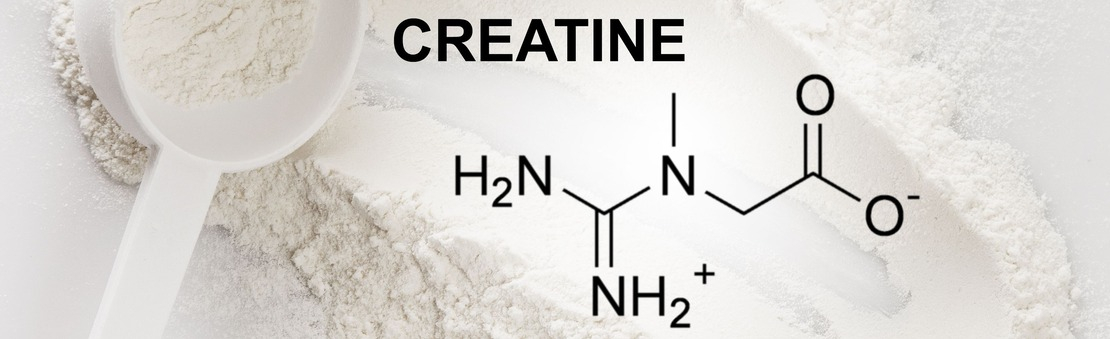 How to Choose Creatine and the Top 5 Best Creatine Brands
